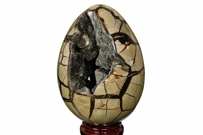 Septarian Dragon Egg Geode - Black Crystals #177425